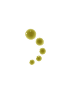 Sérum Super Plantes Antioxydantes