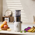 Mini Extracteur De Jus Lent - Série H310A - Mushroom