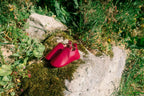 Chausson A Berry