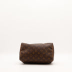 Le Speedy 25 Louis Vuitton