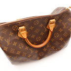 Le Speedy 30 Louis Vuitton