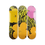 Andy warhol the flower series lime orange by THE SKATEROOM bottom