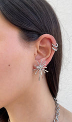 Boucles D'Oreilles Polar