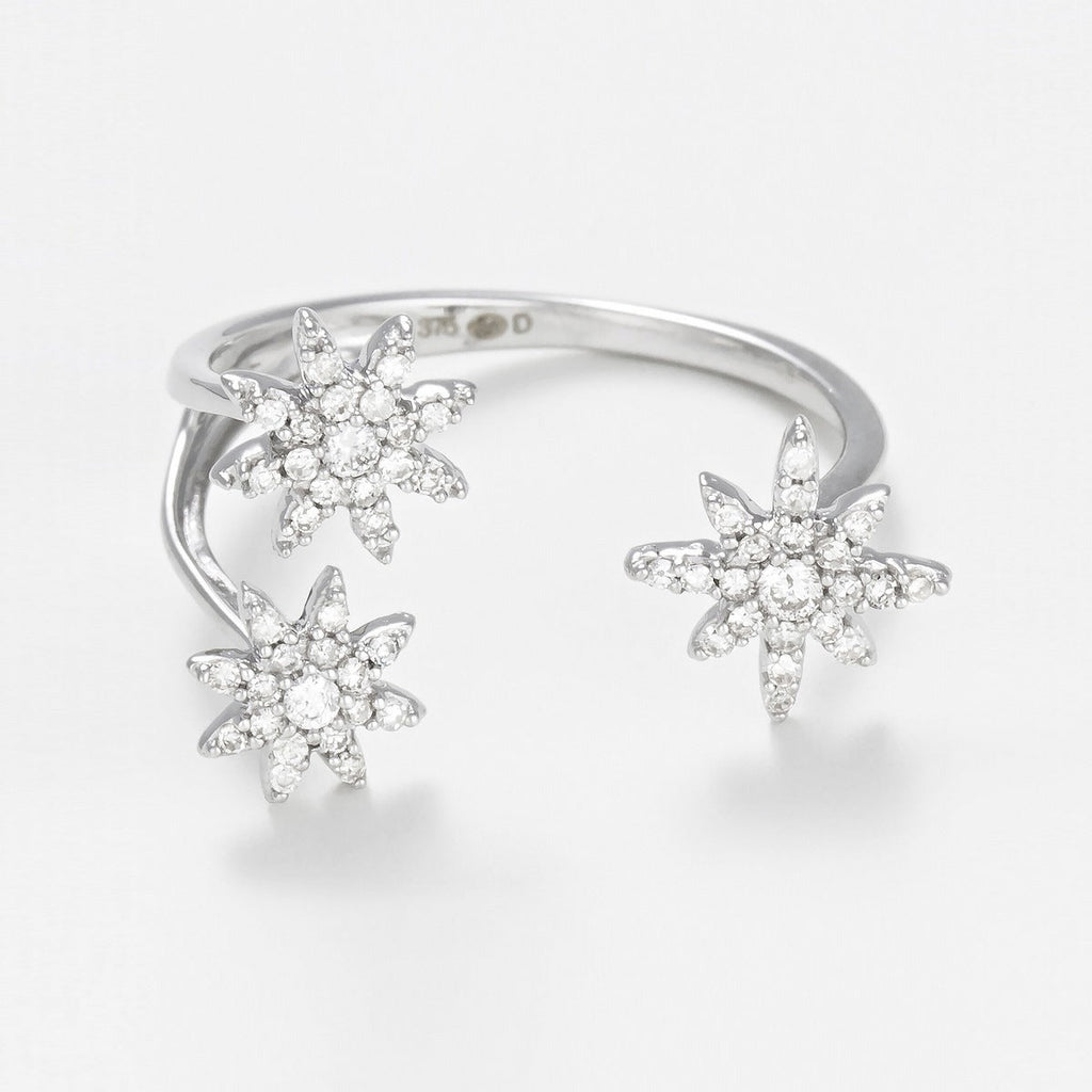 Bague "Bouquet Glacé" D0,20/55 - Or Blanc