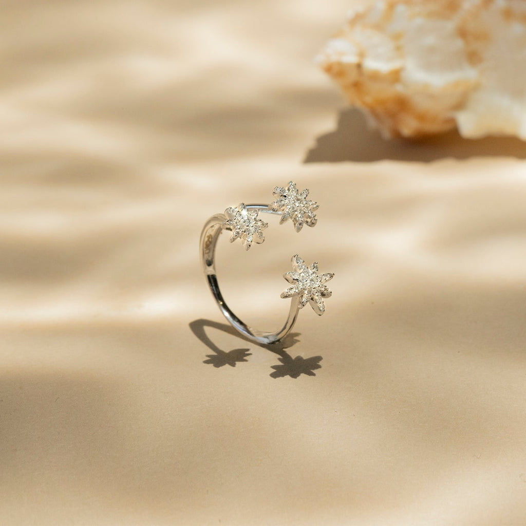 Bague "Bouquet Glacé" D0,20/55 - Or Blanc