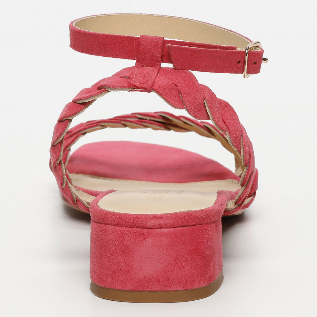 Talons Hachi Raspberry