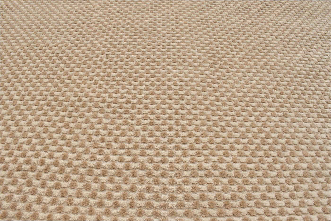 Tapis Bianca 173 - Motif Géométrique - Creme / Beige - Intérieur
