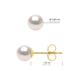 Boucles D'Oreilles Perles Akoya - Tailles De 4 À 8 Mm - Or 750 - Tokyo
