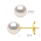 Boucles D'Oreilles - Or Jaune
