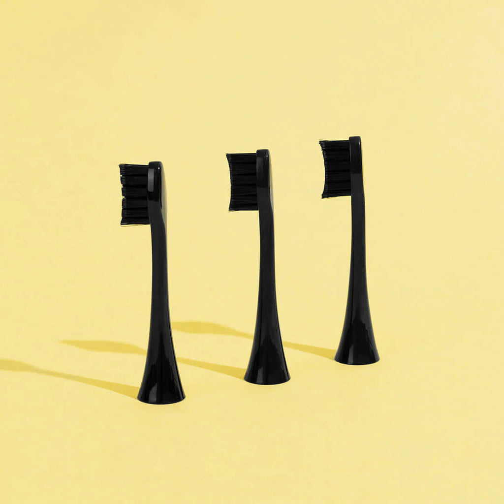 Têtes De Brosse (X3) - Noires