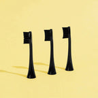 Têtes De Brosse (X3) - Noires