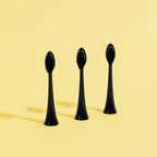 Têtes De Brosse (X3) - Noires