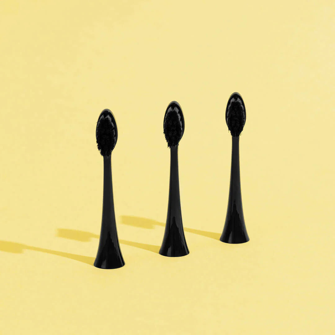 Têtes De Brosse (X3) - Noires