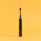 Brosse Noire + Étui + Support