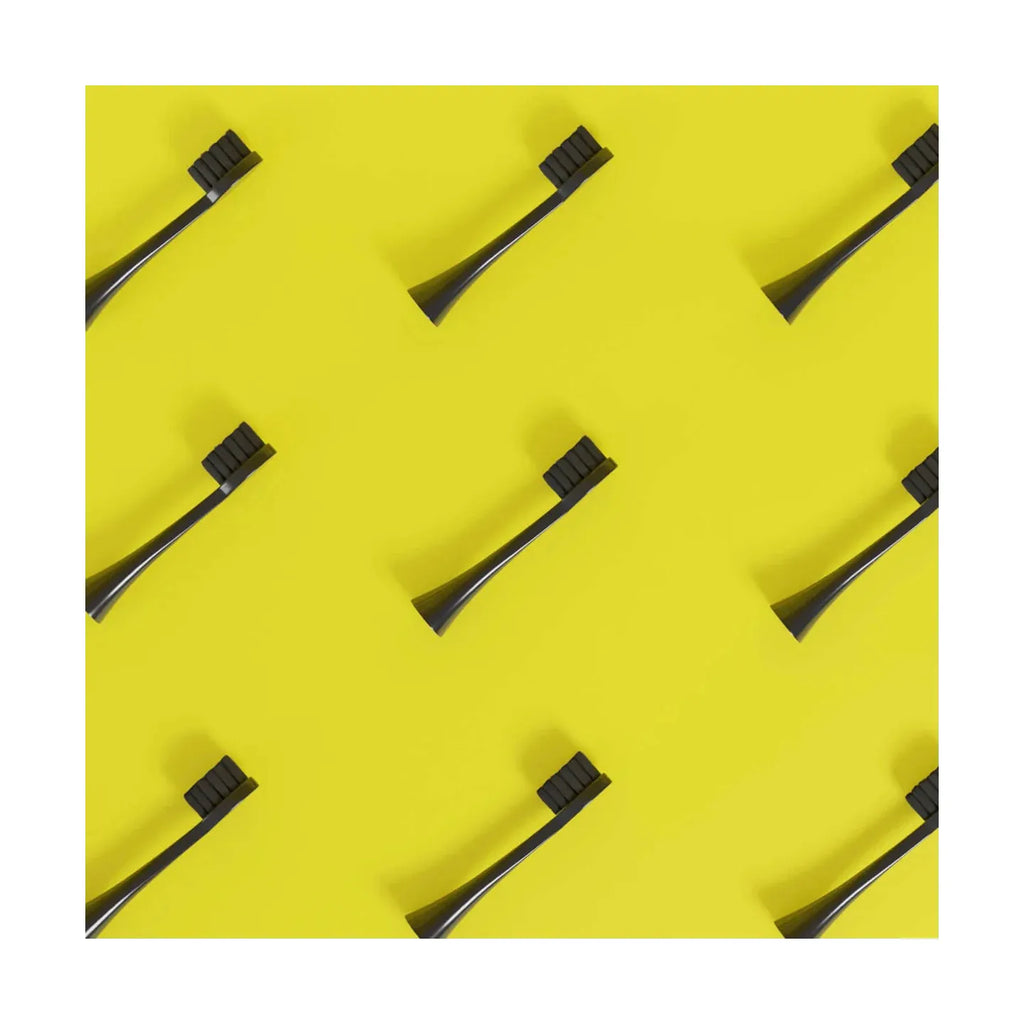 Têtes De Brosse (X3) - Noires