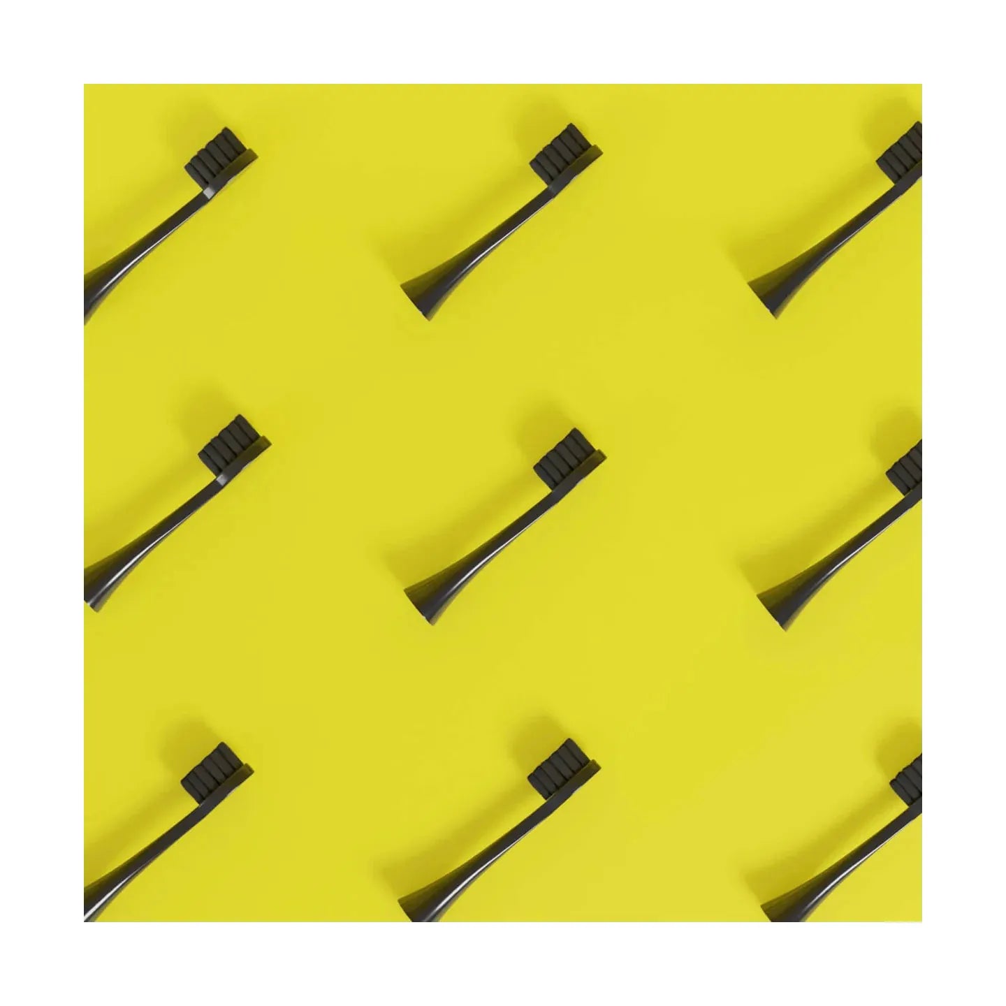 Têtes De Brosse (X3) - Noires