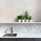 Lot De 4 Plantes Budget – Plante D'Intérieur