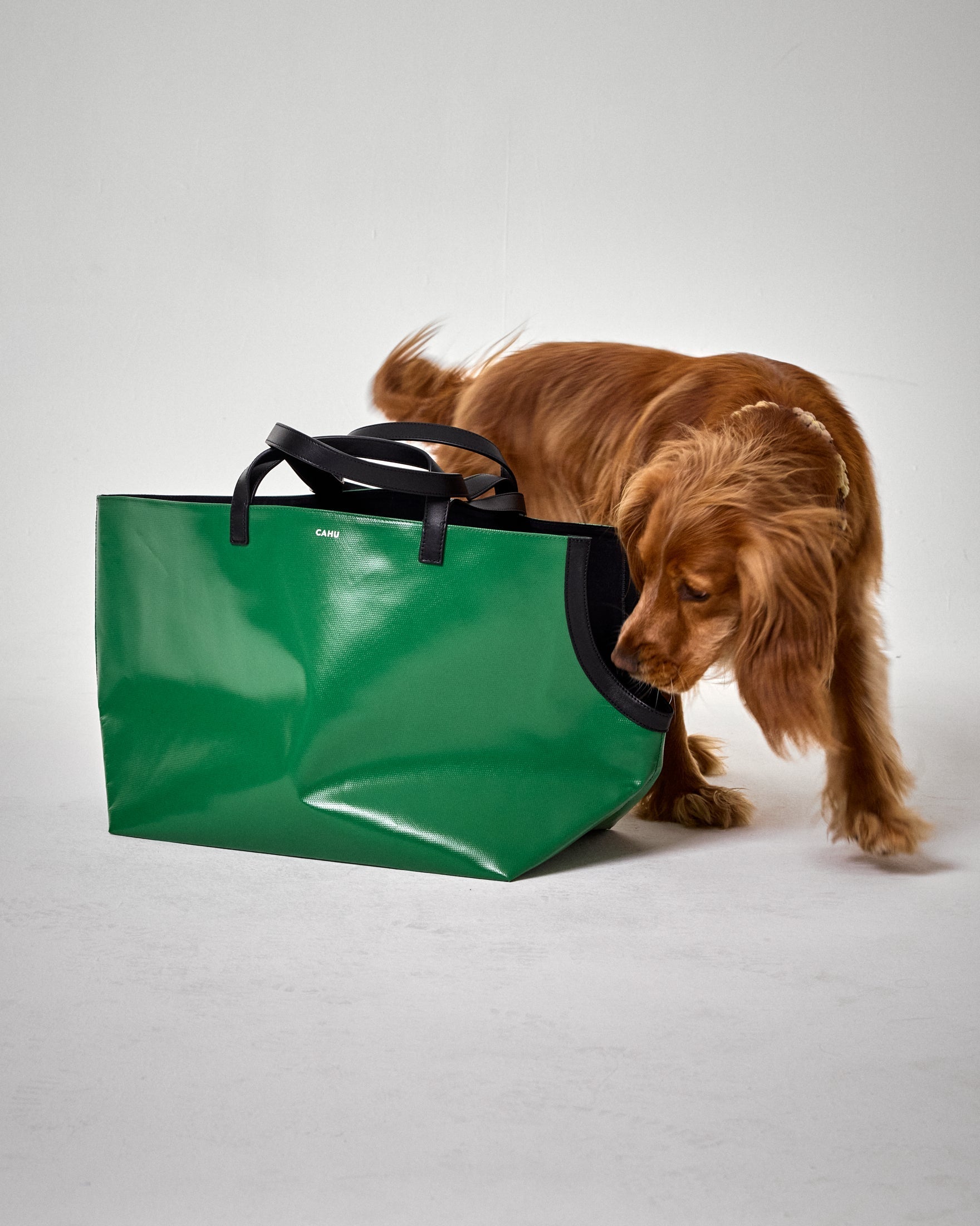 Le Doggy Bag - M