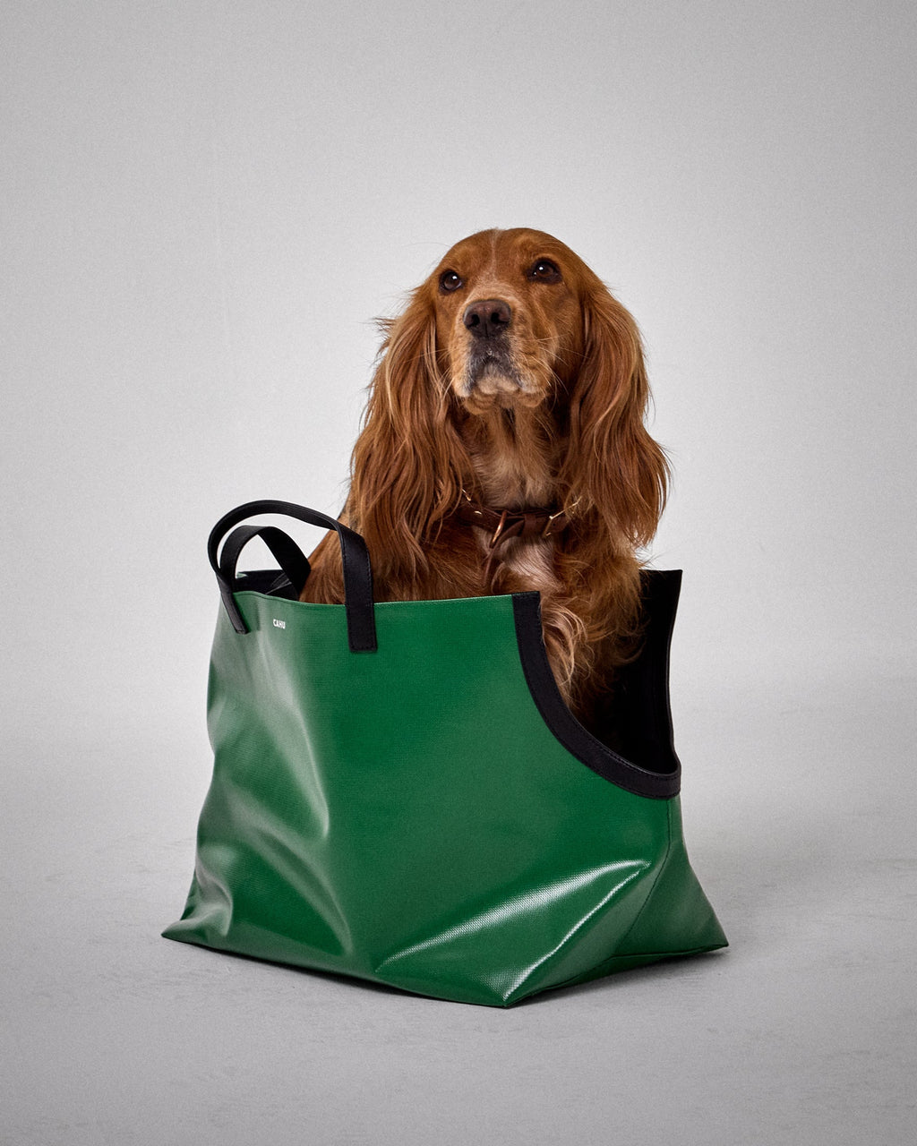 Le Doggy Bag - M