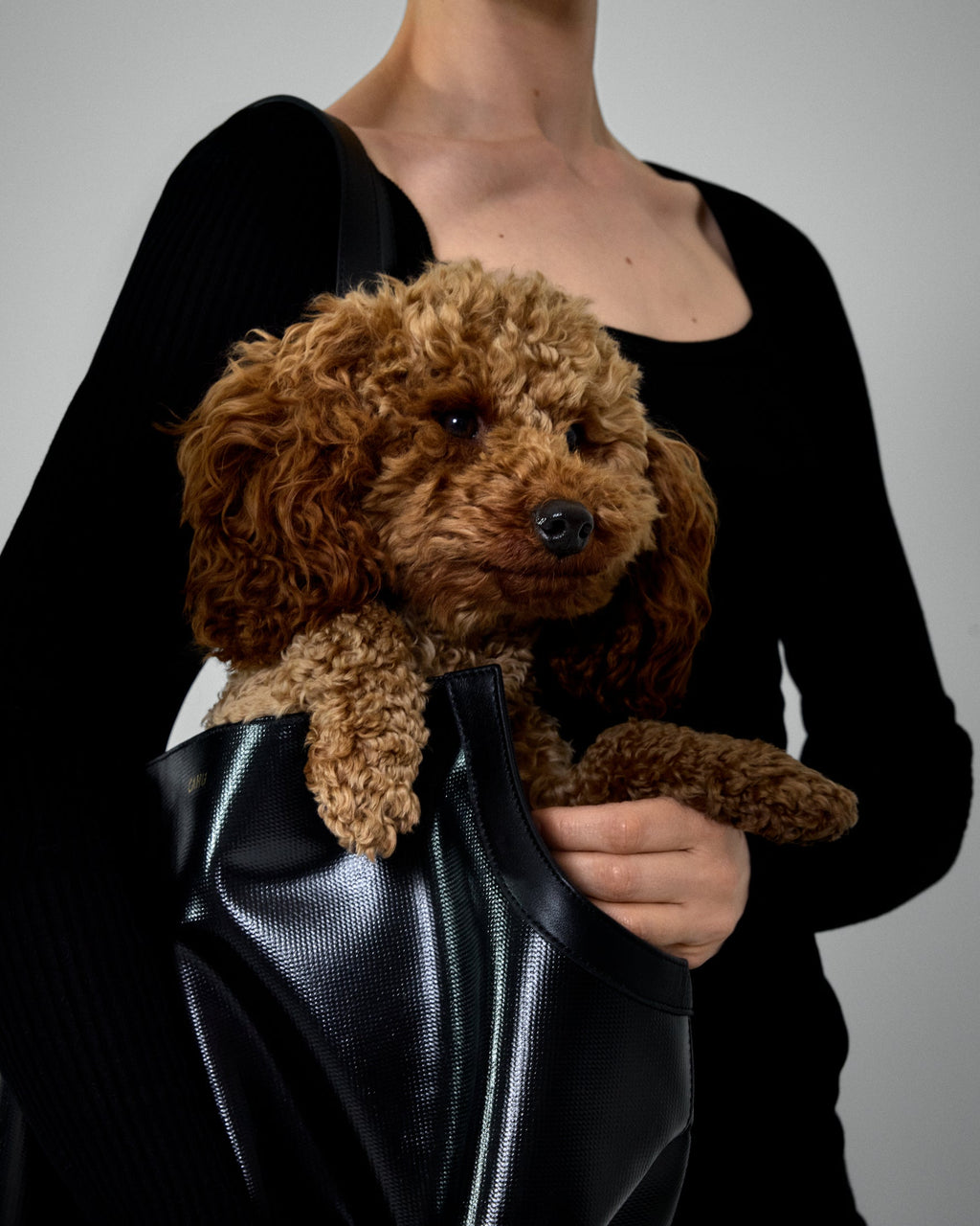 Le Doggy Bag - S