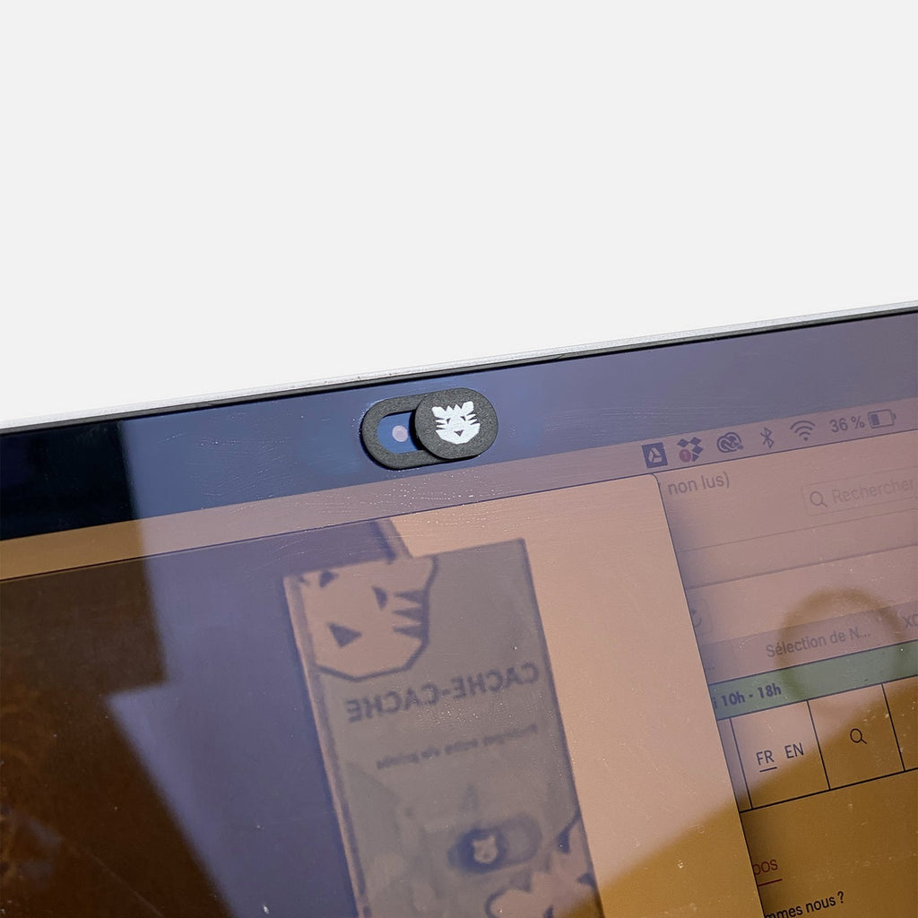 Cache Webcam