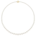 Colliers En Chute - Rangs De Perles Rondes De 12 À 6 Mm - 55 Cm - Anneau Marin Prestige - Or 750 - Lutece