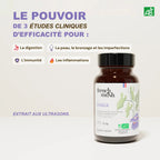 French Mush compléments alimentaires à base d'extraits de champignons médicinaux biologiques fabriqués en France Le Chaga Bio - gélules -