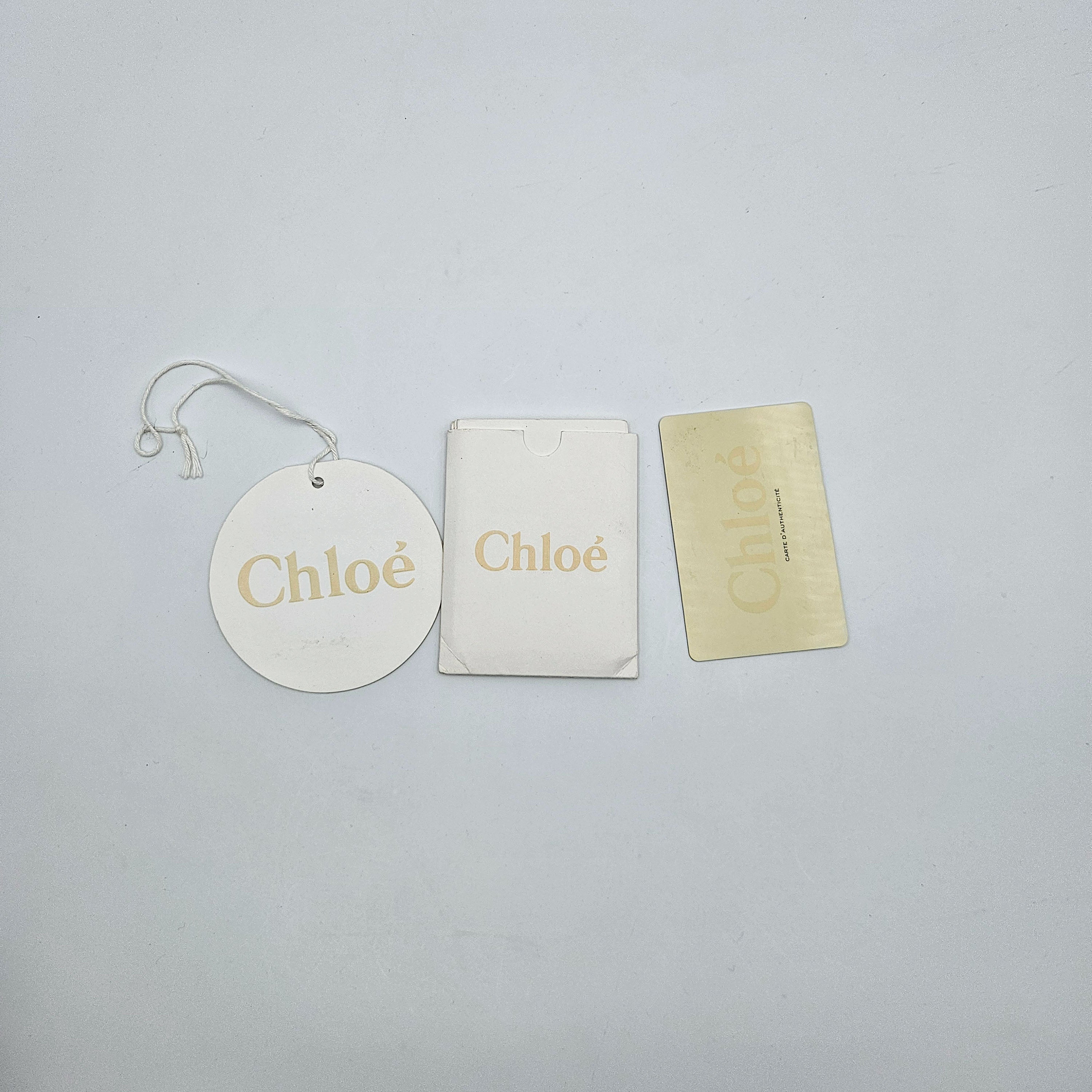 Chloé Paraty Small Cuir