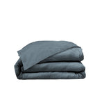#couleur_dusty-blue