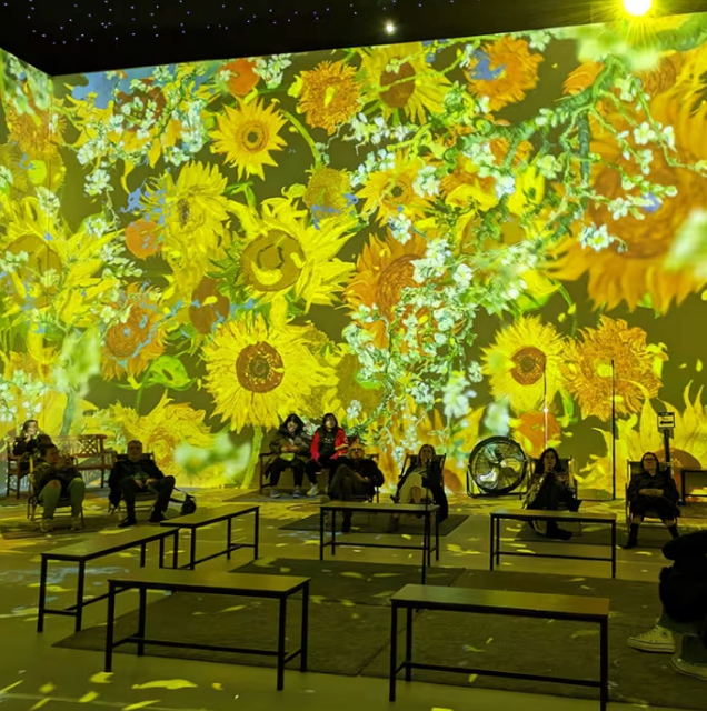 Carte Cadeau - Expérience Immersive Van Gogh Strasbourg - 2 personnes