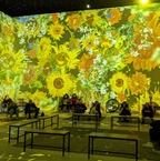 Carte Cadeau - Expérience Immersive Van Gogh Strasbourg - 2 personnes