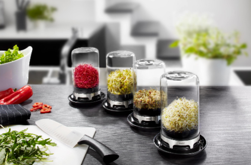 Bivita - Mini-Serre En Verre Pour Jeunes Pousses - Noir/Argent