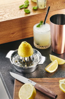 Lemon - Presse-Citron - Argent
