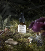 [ L'Elixir Du Marabout ]