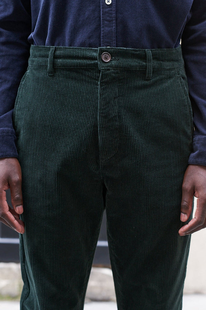 Chino Emerson Velours - Nordmann