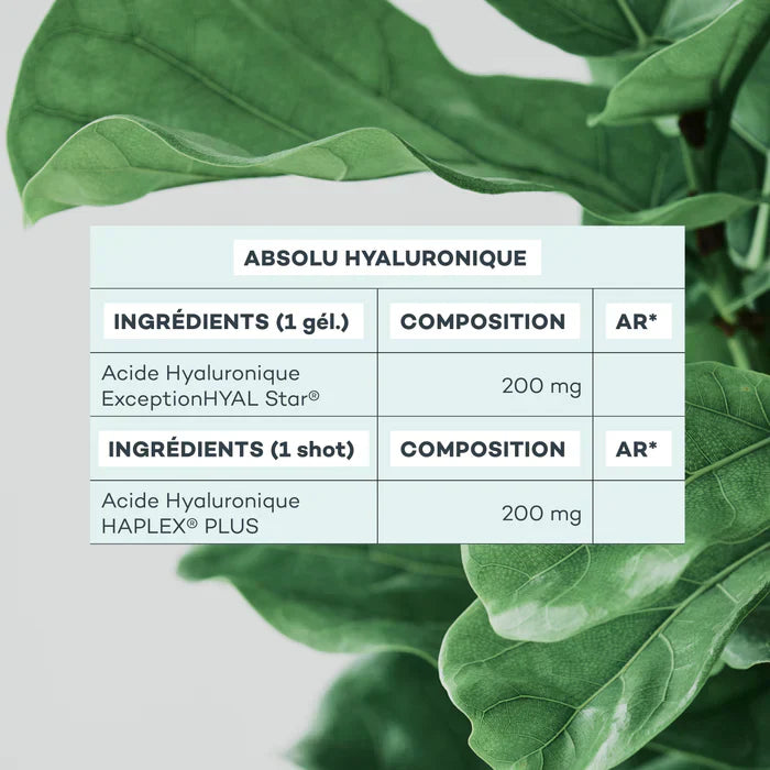 Absolu Hyaluronique