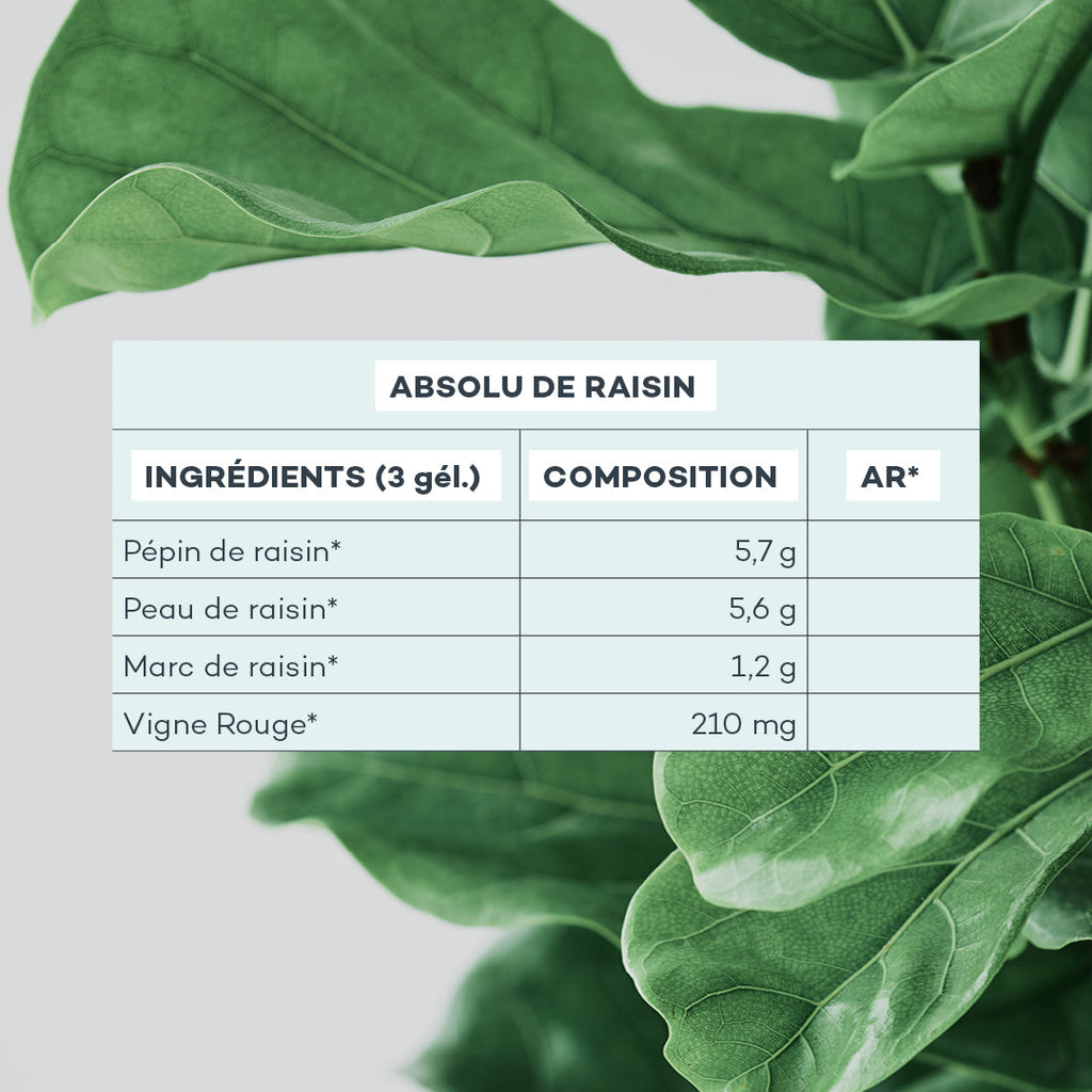 Absolu De Raisin