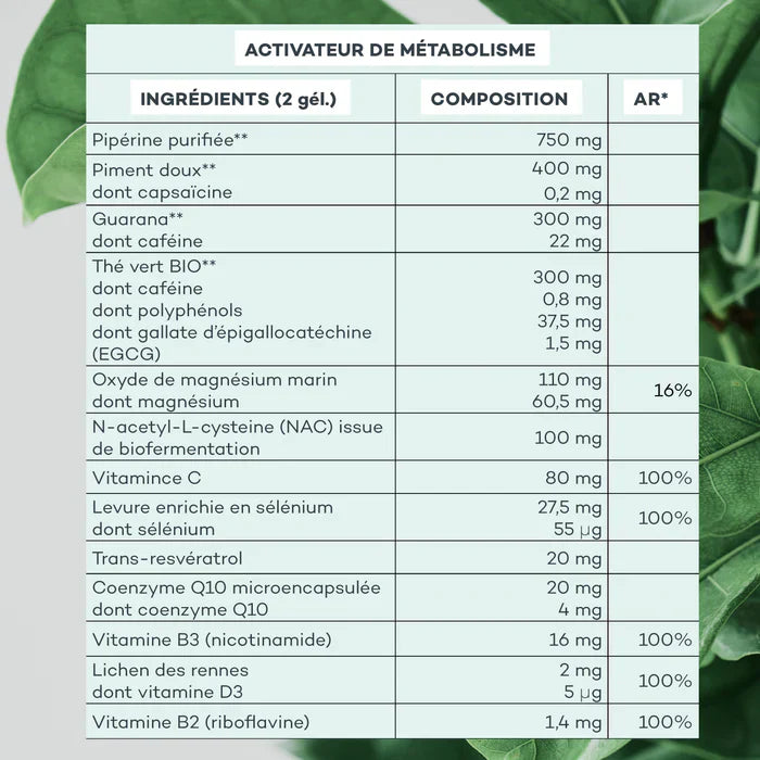 Programme Energie Profonde