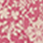 Robe Sergette - Rose