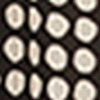 Robe Sunita - Noir