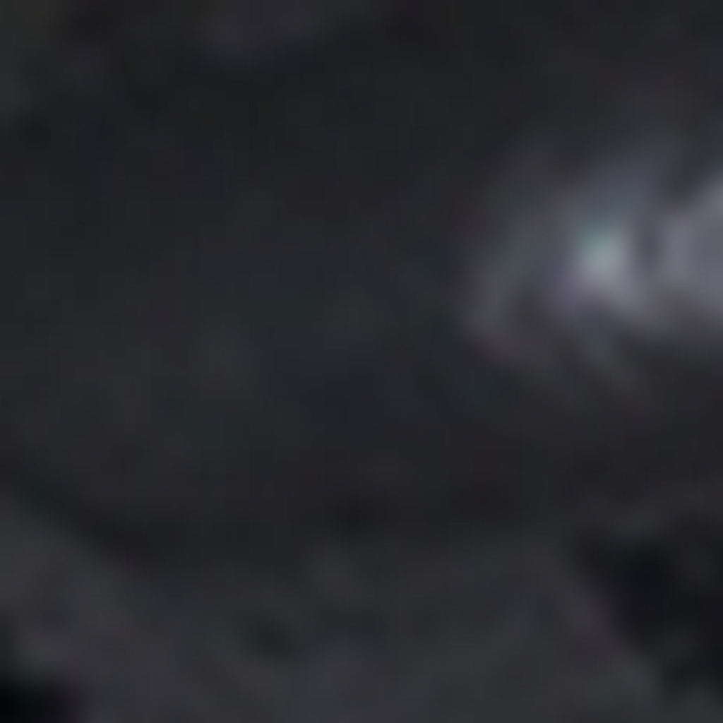 Chaussure Elio - Noir