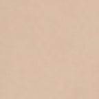 Pantalon - Combi - Short Laurette - Beige