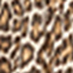 Robe Perle - Marron