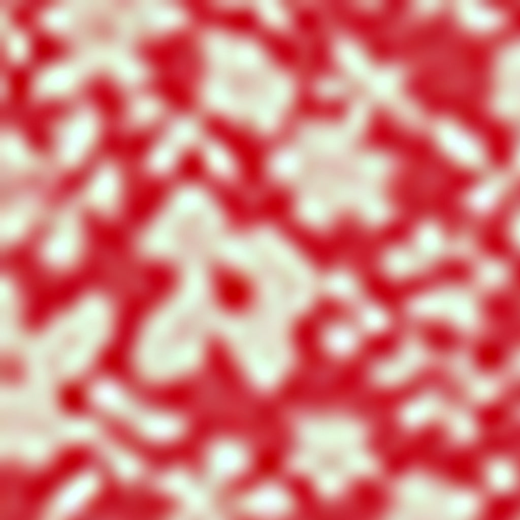 Robe Pierrette - Rouge Baiser
