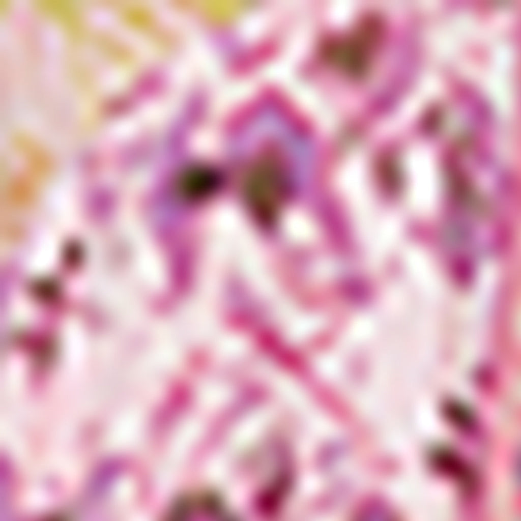Robe Pyla - Multicolore