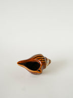 Vide-Poche Coquillage En Barbotine, Marron Clair, 1970 - 15 X 10 Cm