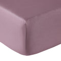 Percale Unie - Drap Housse - Violet