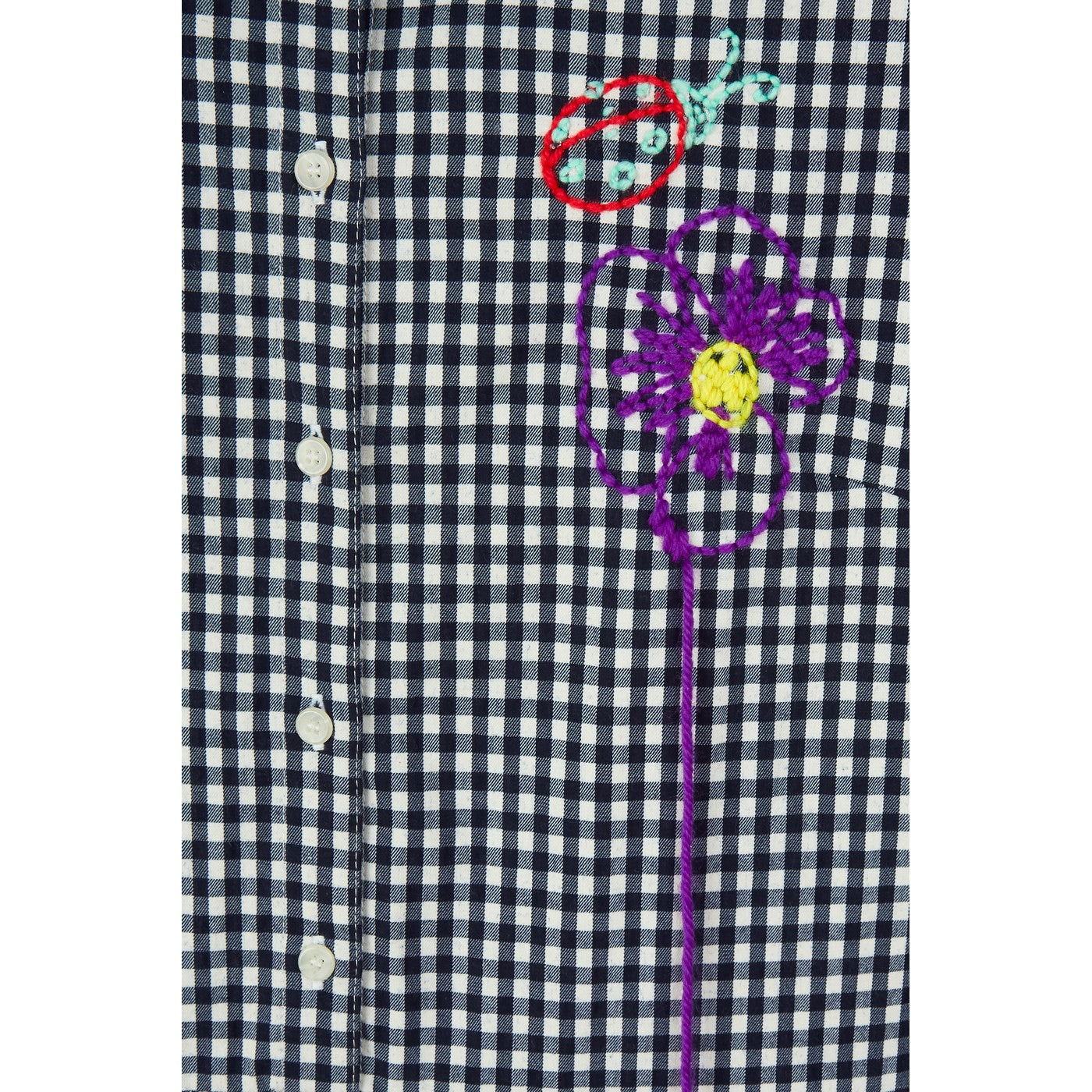 Robe Gingham Embroidered