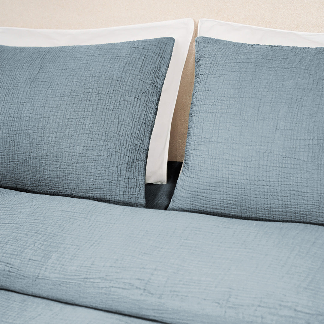 #couleur_dusty-blue