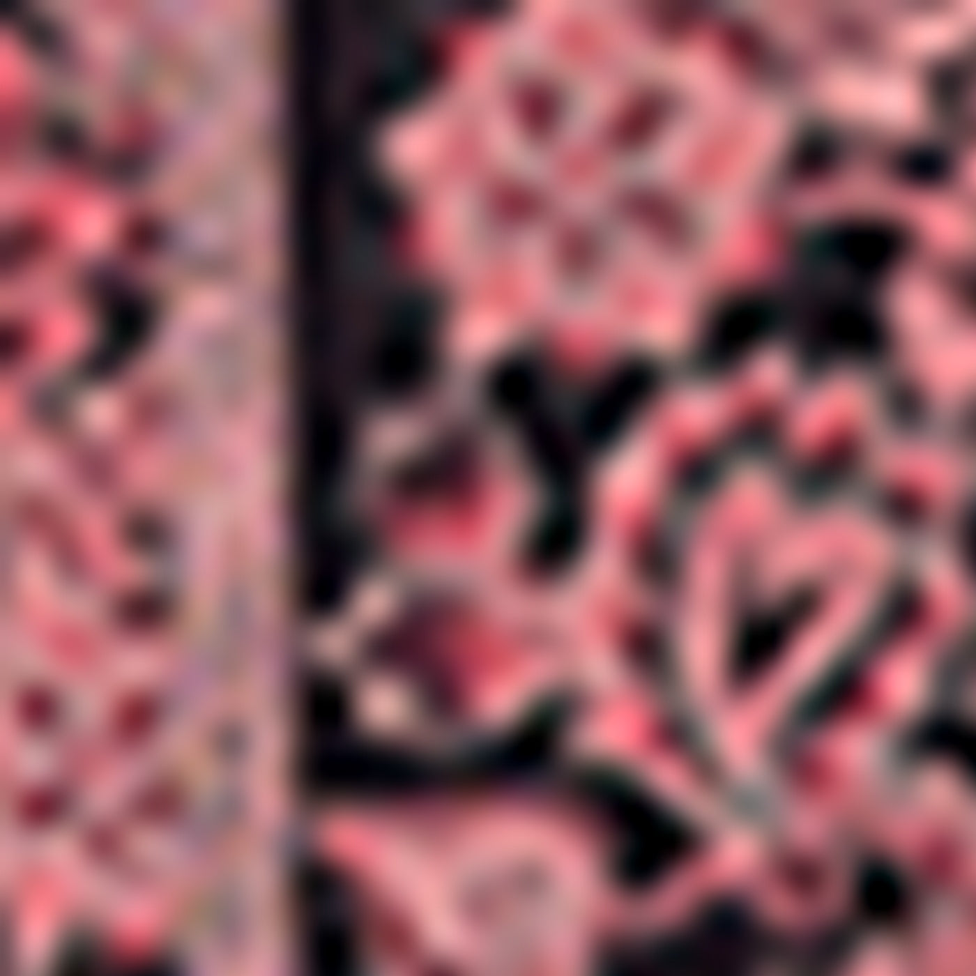 Chemisier - Top Cameron - Rose